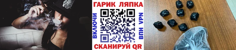 где купить   Кашин  ГАШИШ Cannabis 