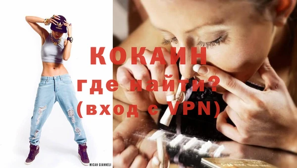 крисы Козельск