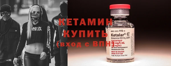 крисы Козельск