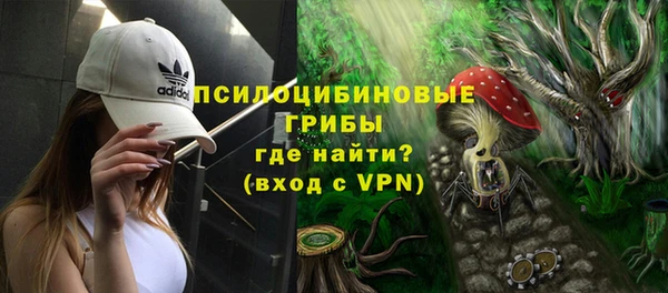 mdpv Кодинск