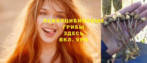 герыч Александровское